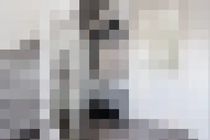 Walestraat 19 Stramproy thumbnail 24