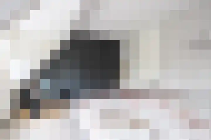 Walestraat 19 Stramproy thumbnail 28