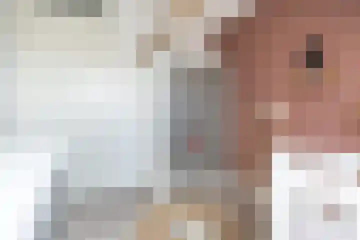 Walestraat 19 Stramproy thumbnail 33