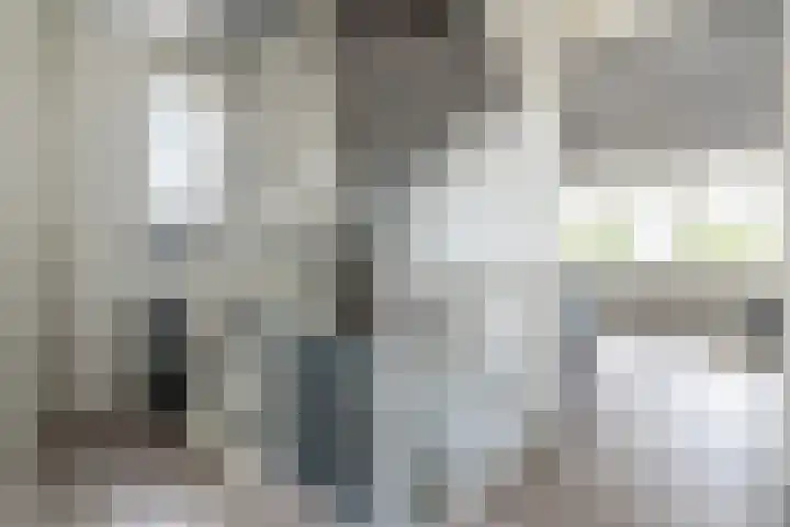 Walestraat 19 Stramproy thumbnail 39