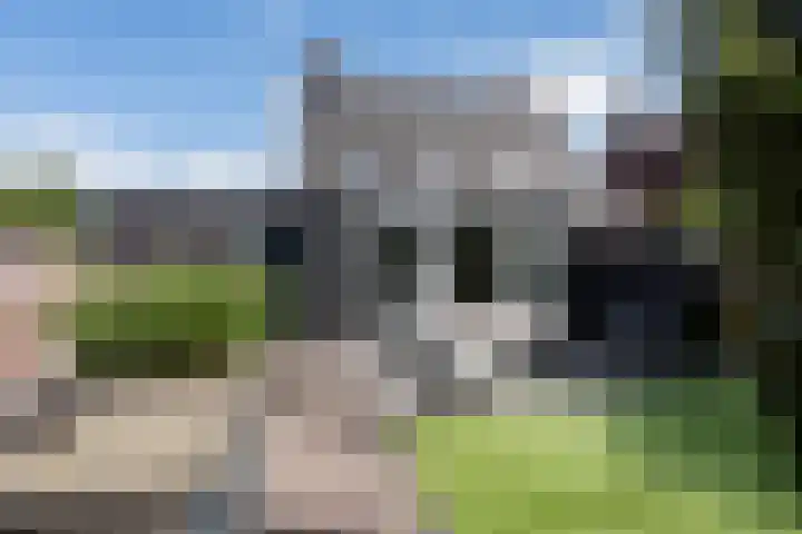 Walestraat 19 Stramproy thumbnail 4