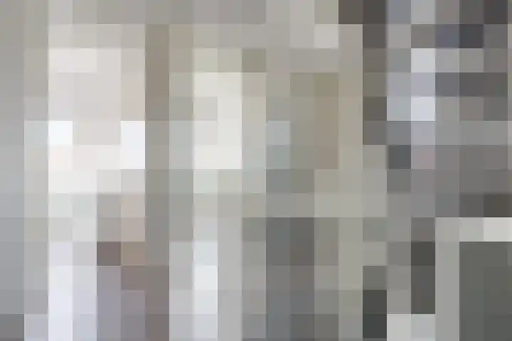 Walestraat 19 Stramproy thumbnail 40