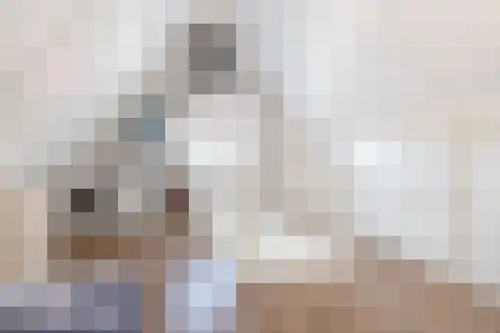 Walestraat 19 Stramproy thumbnail 43