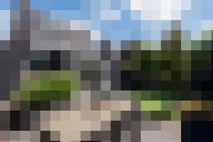 Walestraat 19 Stramproy thumbnail 44