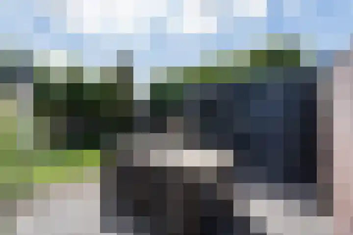 Walestraat 19 Stramproy thumbnail 45