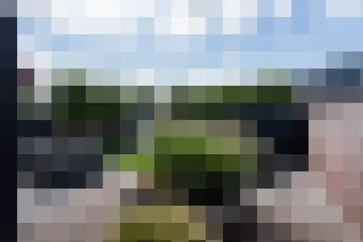 Walestraat 19 Stramproy thumbnail 46