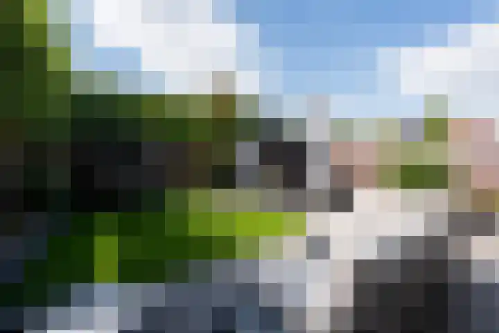 Walestraat 19 Stramproy thumbnail 48