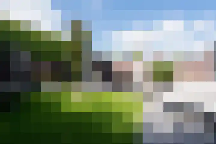Walestraat 19 Stramproy thumbnail 49
