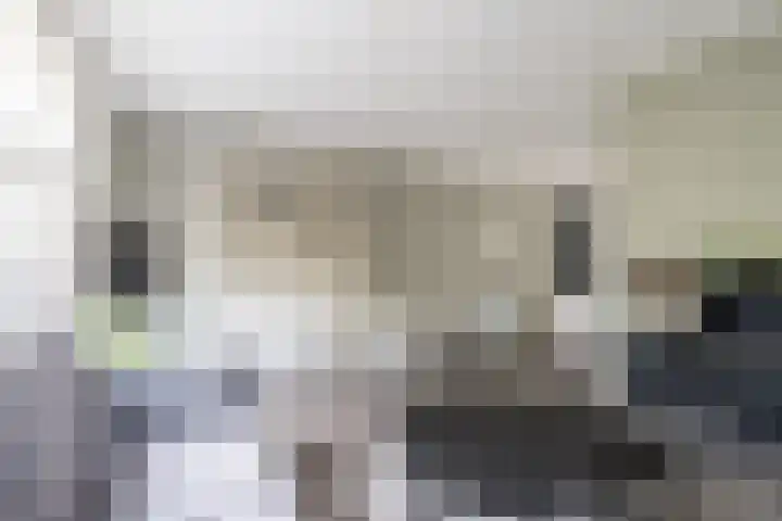 Walestraat 19 Stramproy thumbnail 5