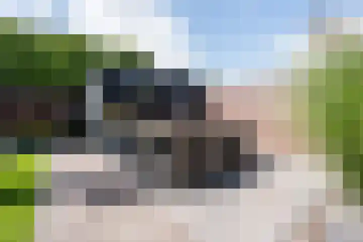 Walestraat 19 Stramproy thumbnail 50