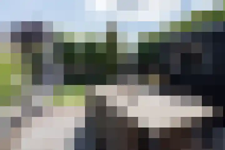 Walestraat 19 Stramproy thumbnail 51