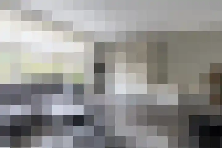 Walestraat 19 Stramproy thumbnail 7