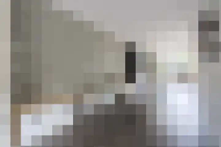 Walestraat 19 Stramproy thumbnail 8