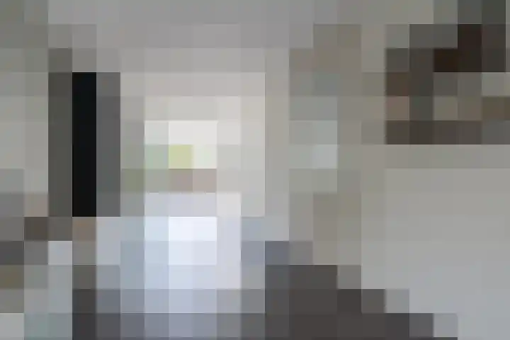 Walestraat 19 Stramproy thumbnail 9