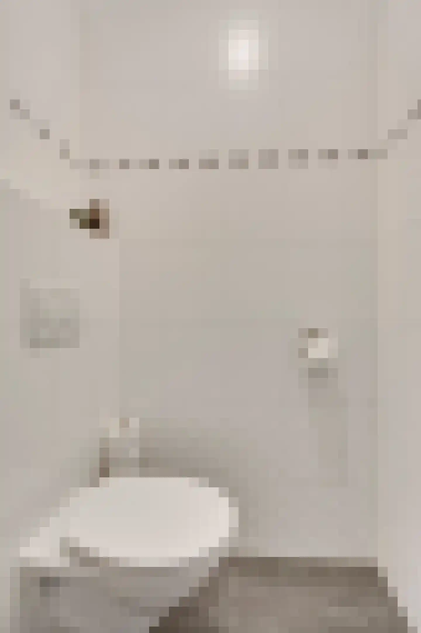 Walestraat 26 Stramproy thumbnail 11