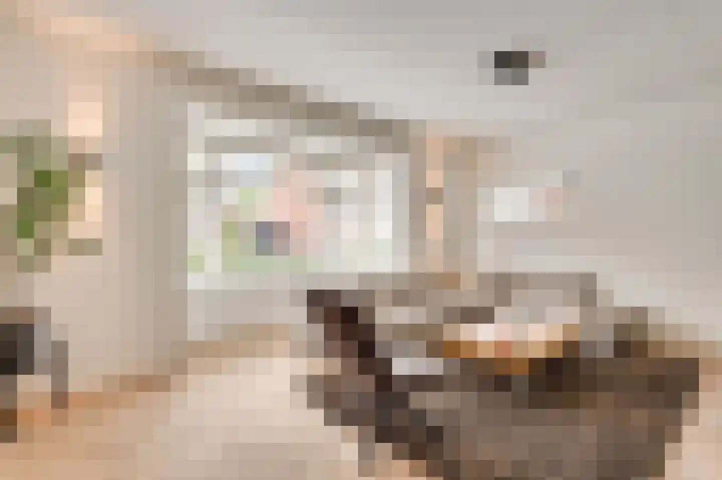 Walestraat 26 Stramproy thumbnail 14