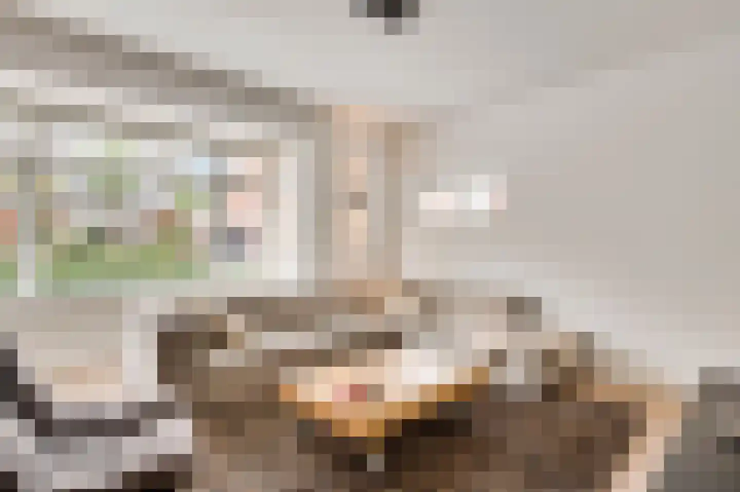 Walestraat 26 Stramproy thumbnail 15