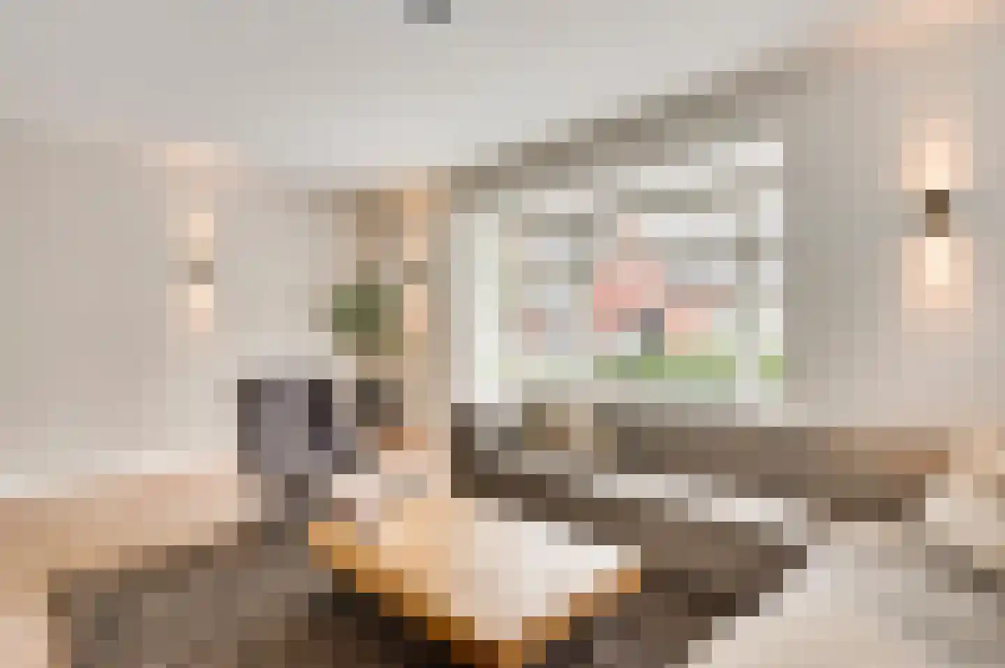 Walestraat 26 Stramproy thumbnail 16