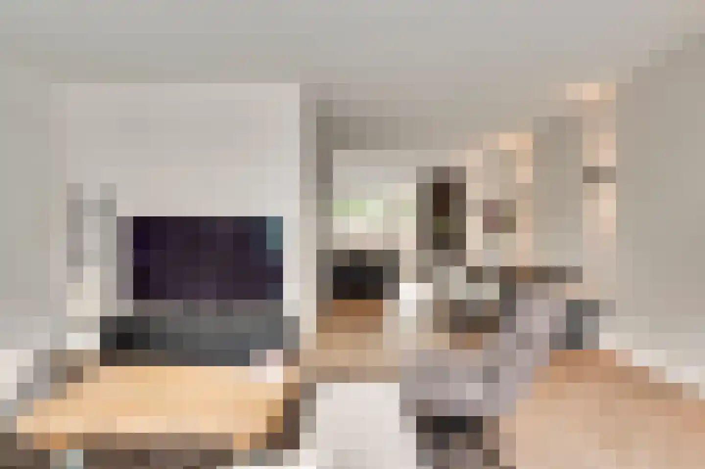 Walestraat 26 Stramproy thumbnail 18