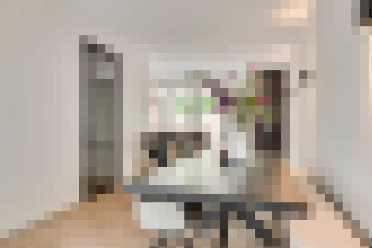 Walestraat 26 Stramproy thumbnail 19