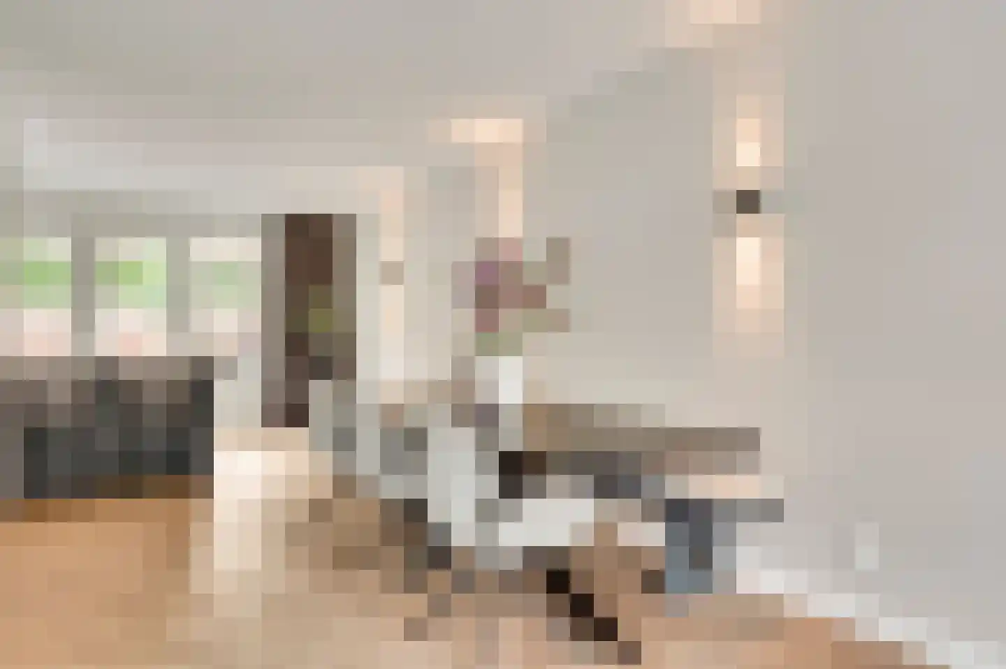Walestraat 26 Stramproy thumbnail 20