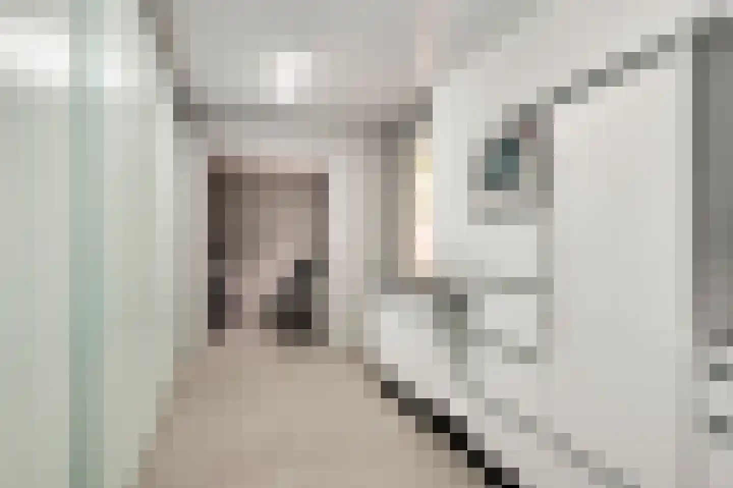 Walestraat 26 Stramproy thumbnail 25
