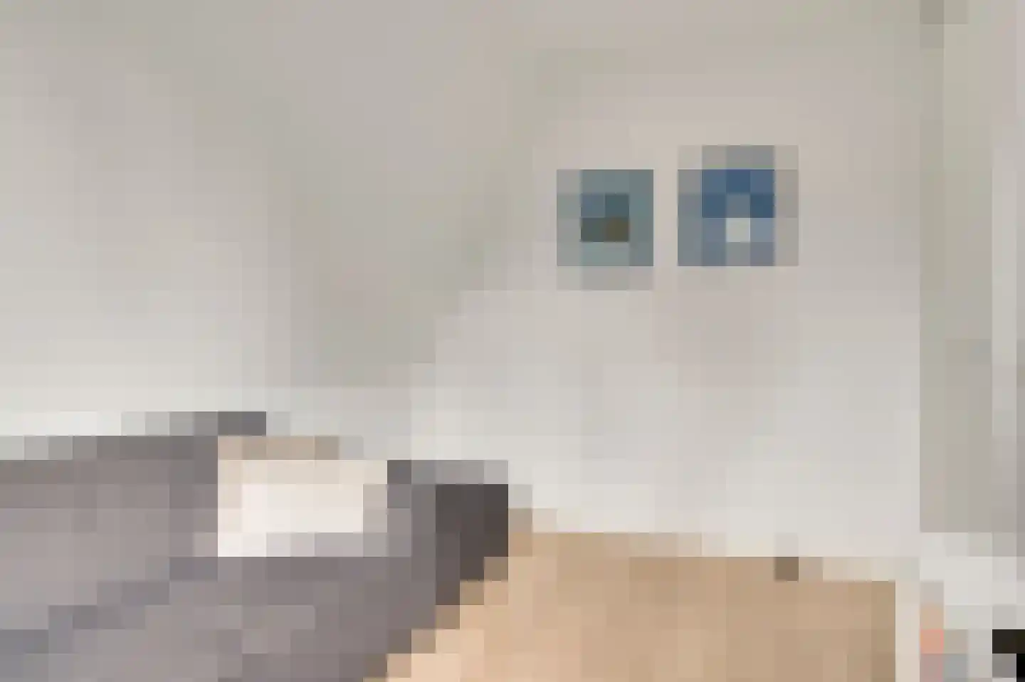 Walestraat 26 Stramproy thumbnail 31