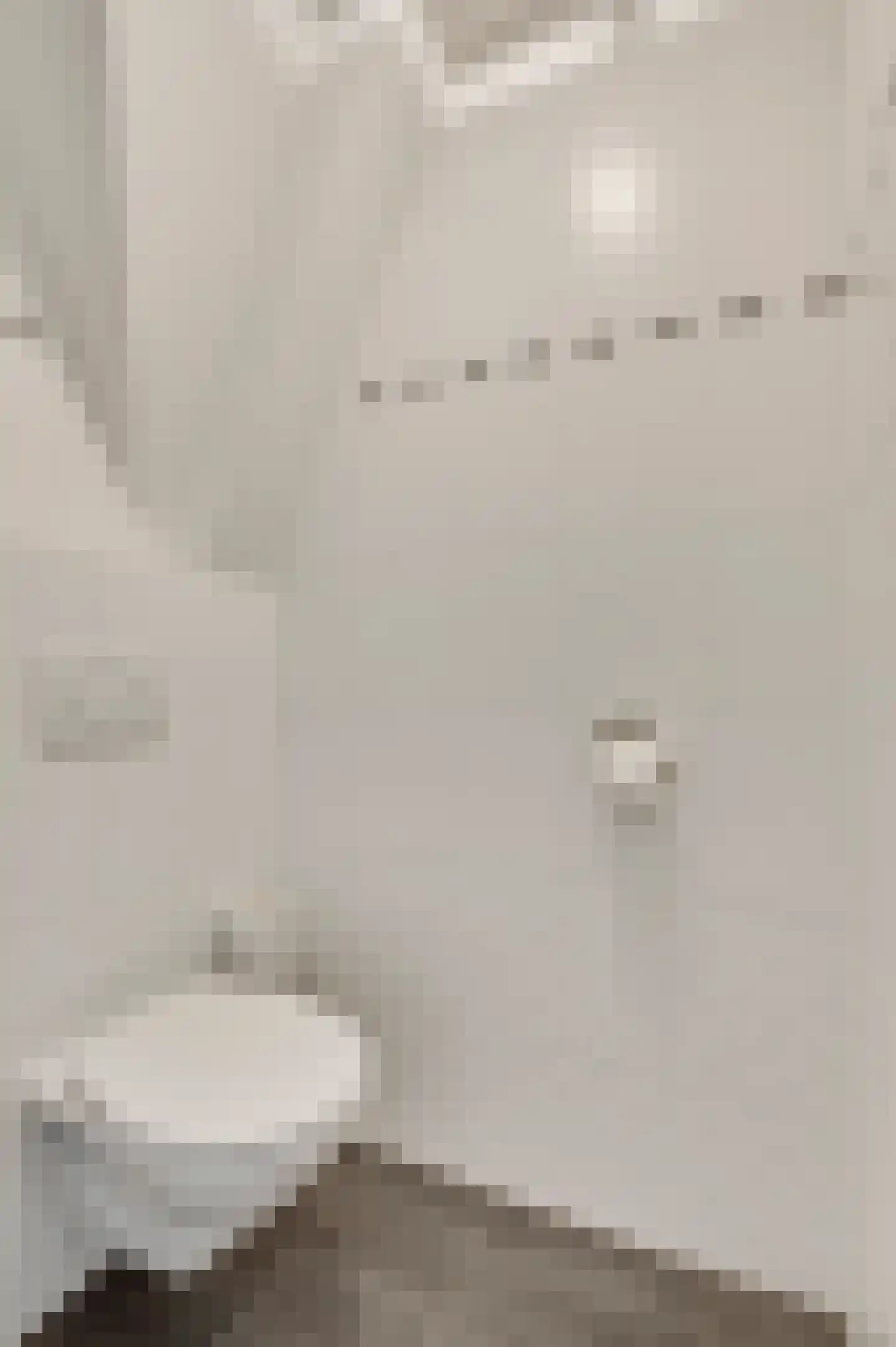 Walestraat 26 Stramproy thumbnail 33
