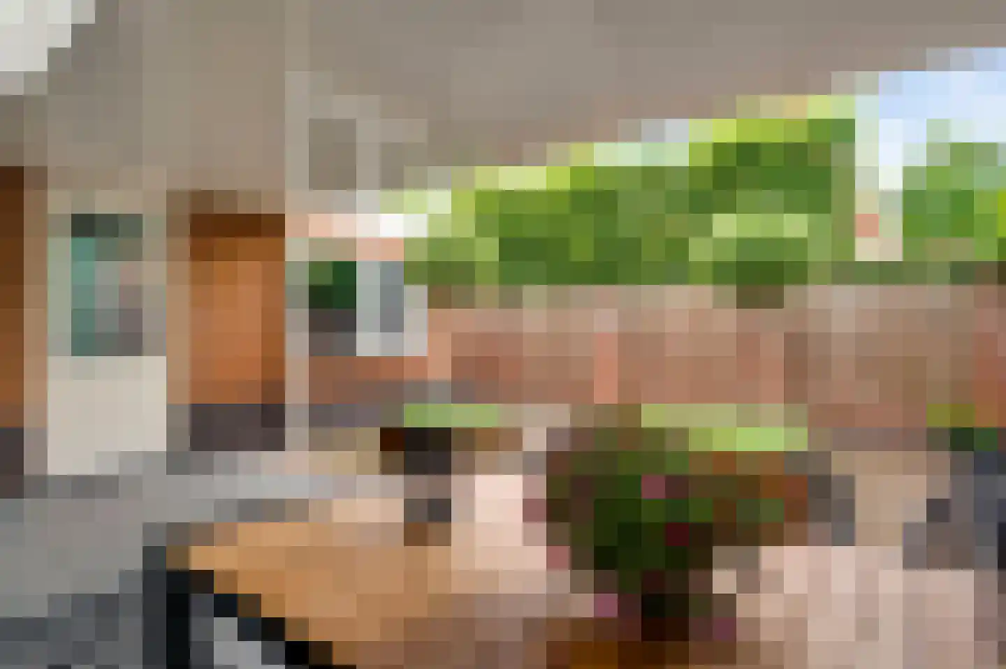 Walestraat 26 Stramproy thumbnail 41