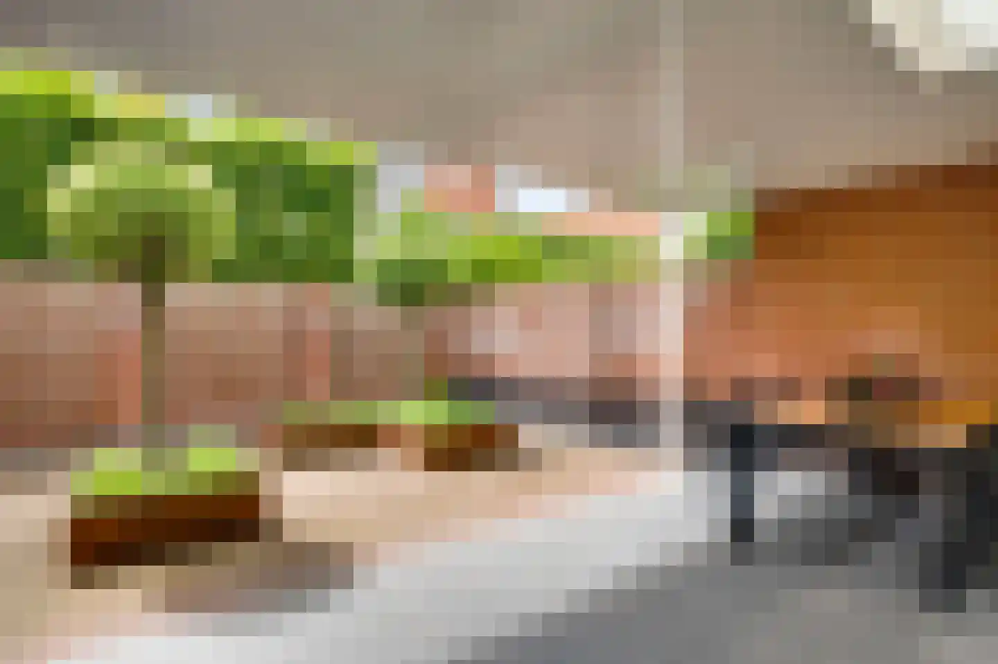 Walestraat 26 Stramproy thumbnail 42
