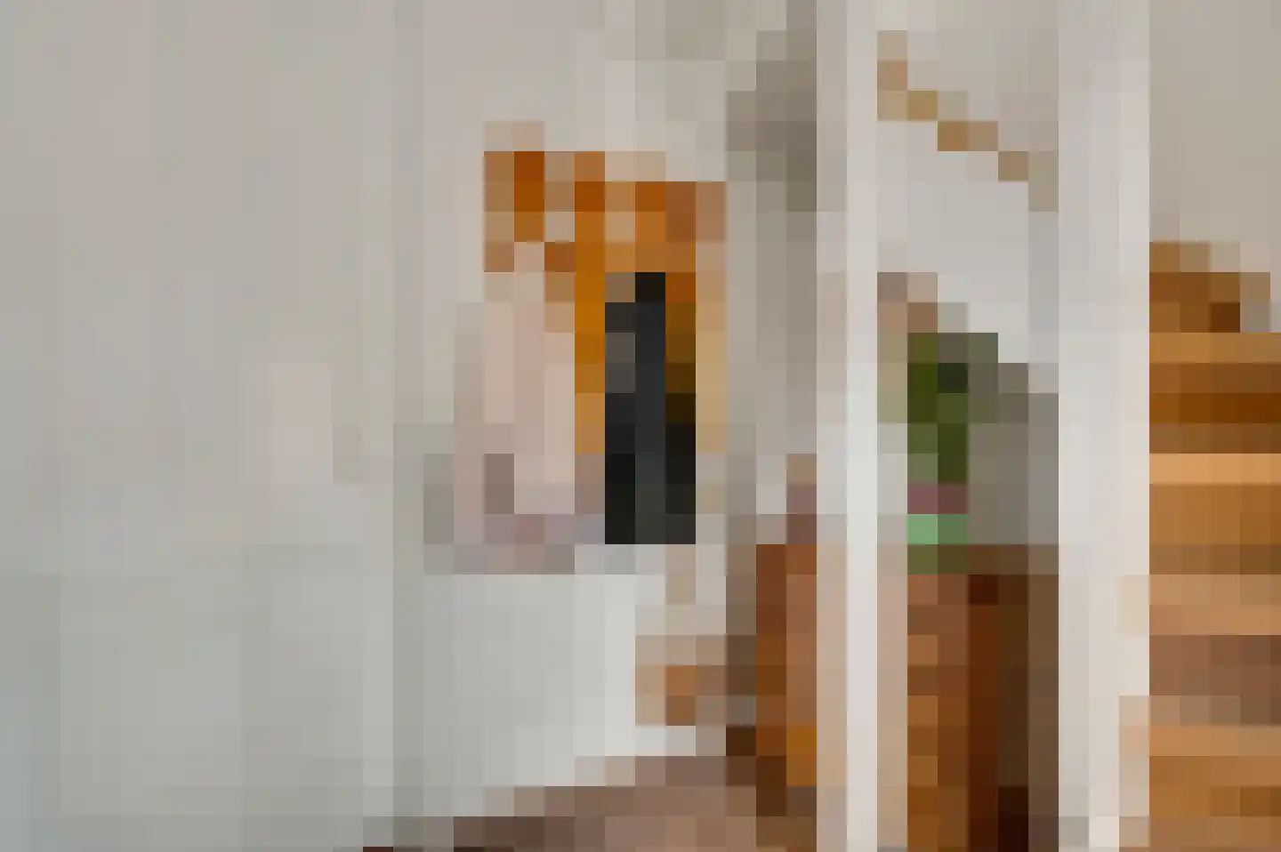 Walestraat 29 Stramproy thumbnail 10