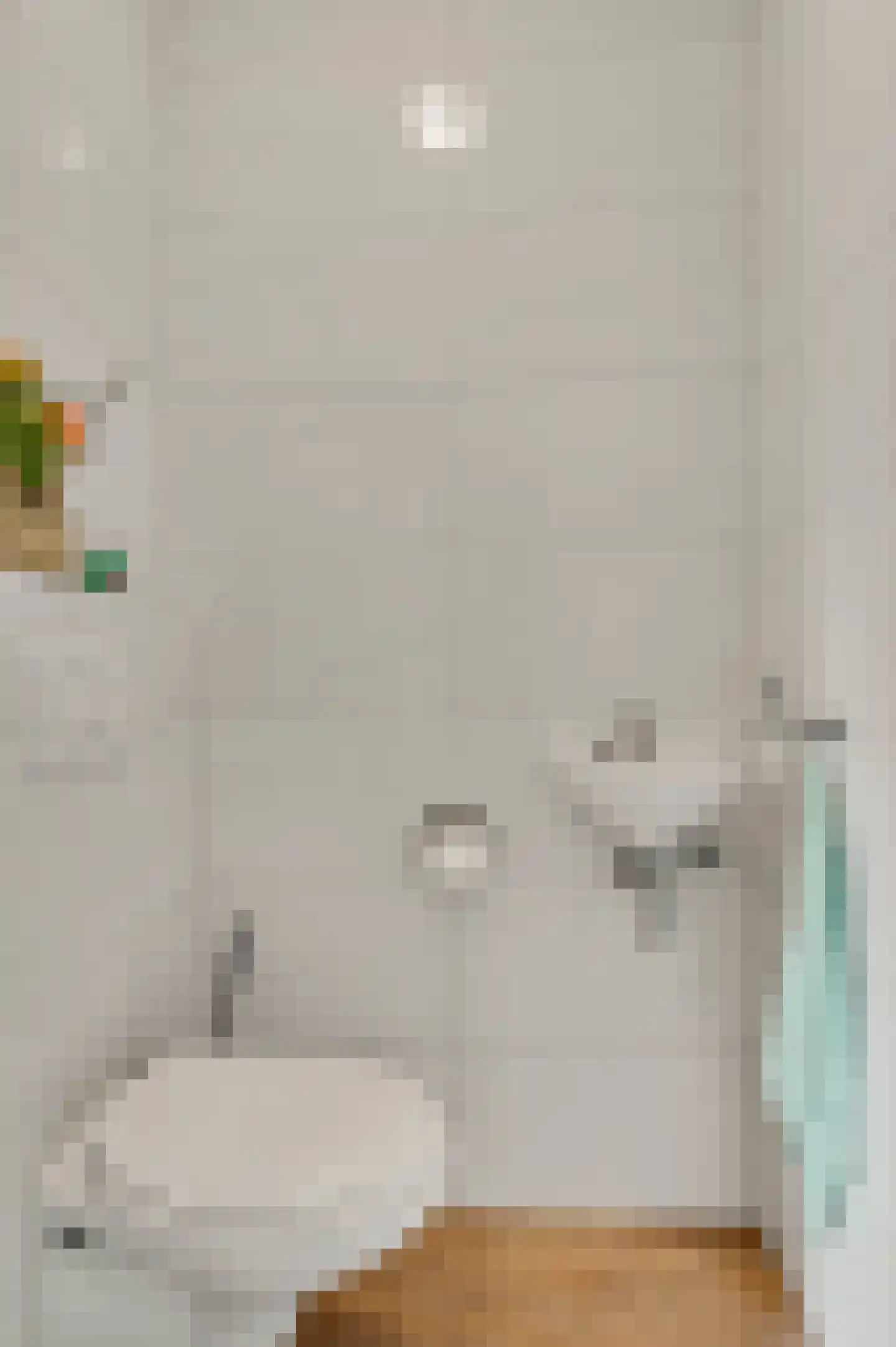 Walestraat 29 Stramproy thumbnail 11