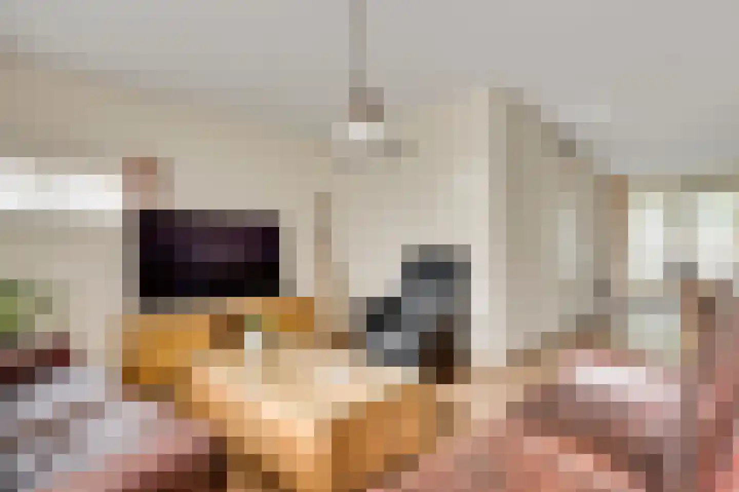 Walestraat 29 Stramproy thumbnail 15
