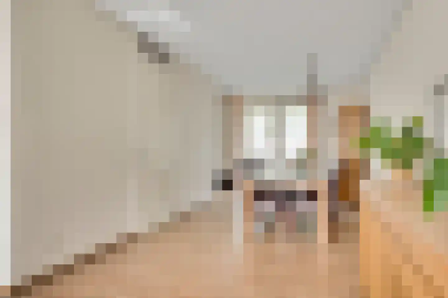 Walestraat 29 Stramproy thumbnail 17