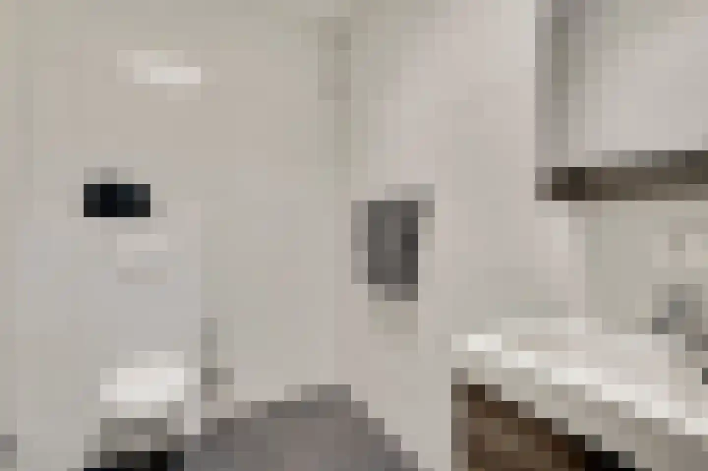 Walestraat 29 Stramproy thumbnail 23