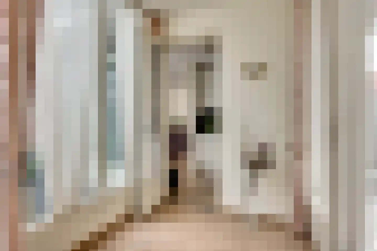 Walestraat 29 Stramproy thumbnail 25