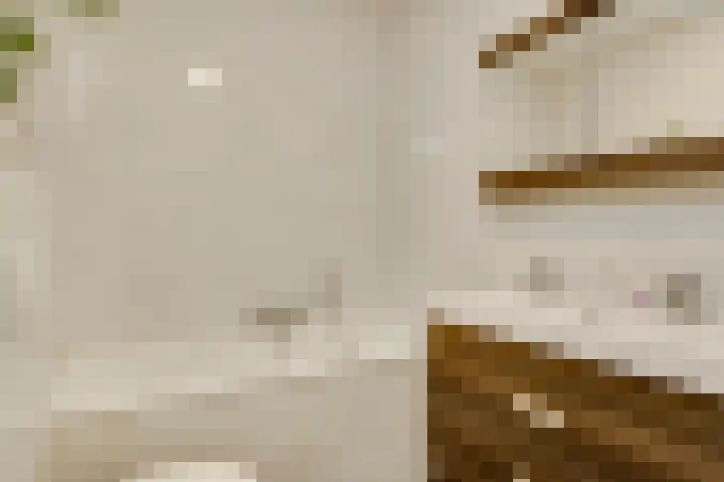 Walestraat 29 Stramproy thumbnail 30