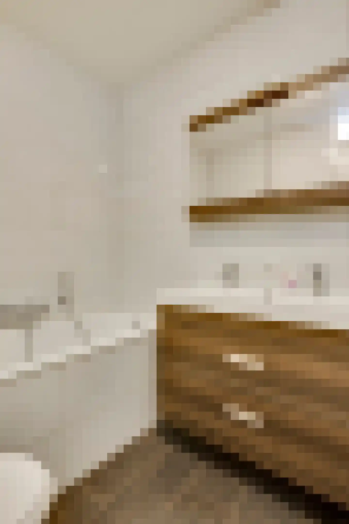 Walestraat 29 Stramproy thumbnail 32