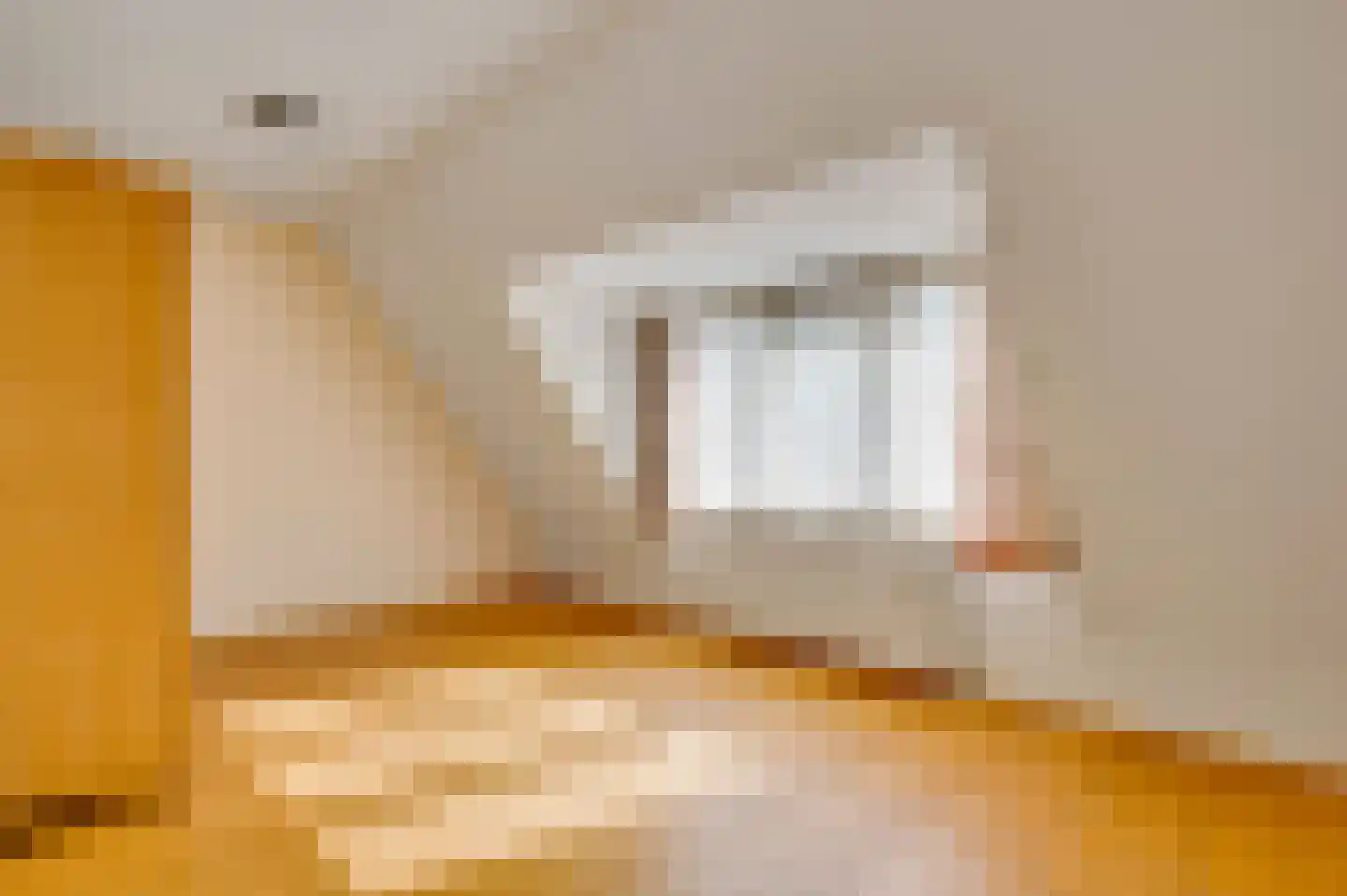 Walestraat 29 Stramproy thumbnail 37