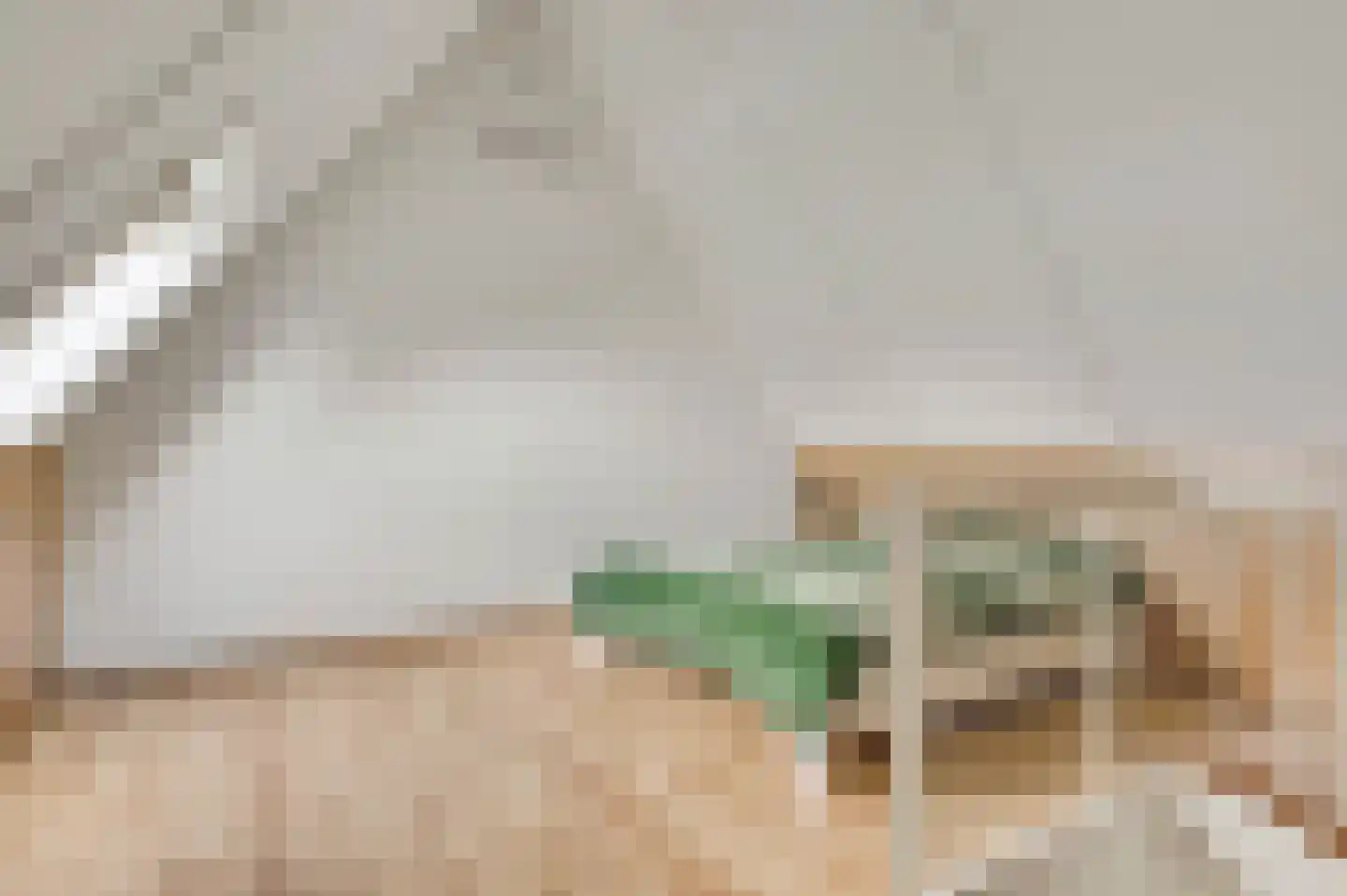 Walestraat 29 Stramproy thumbnail 39