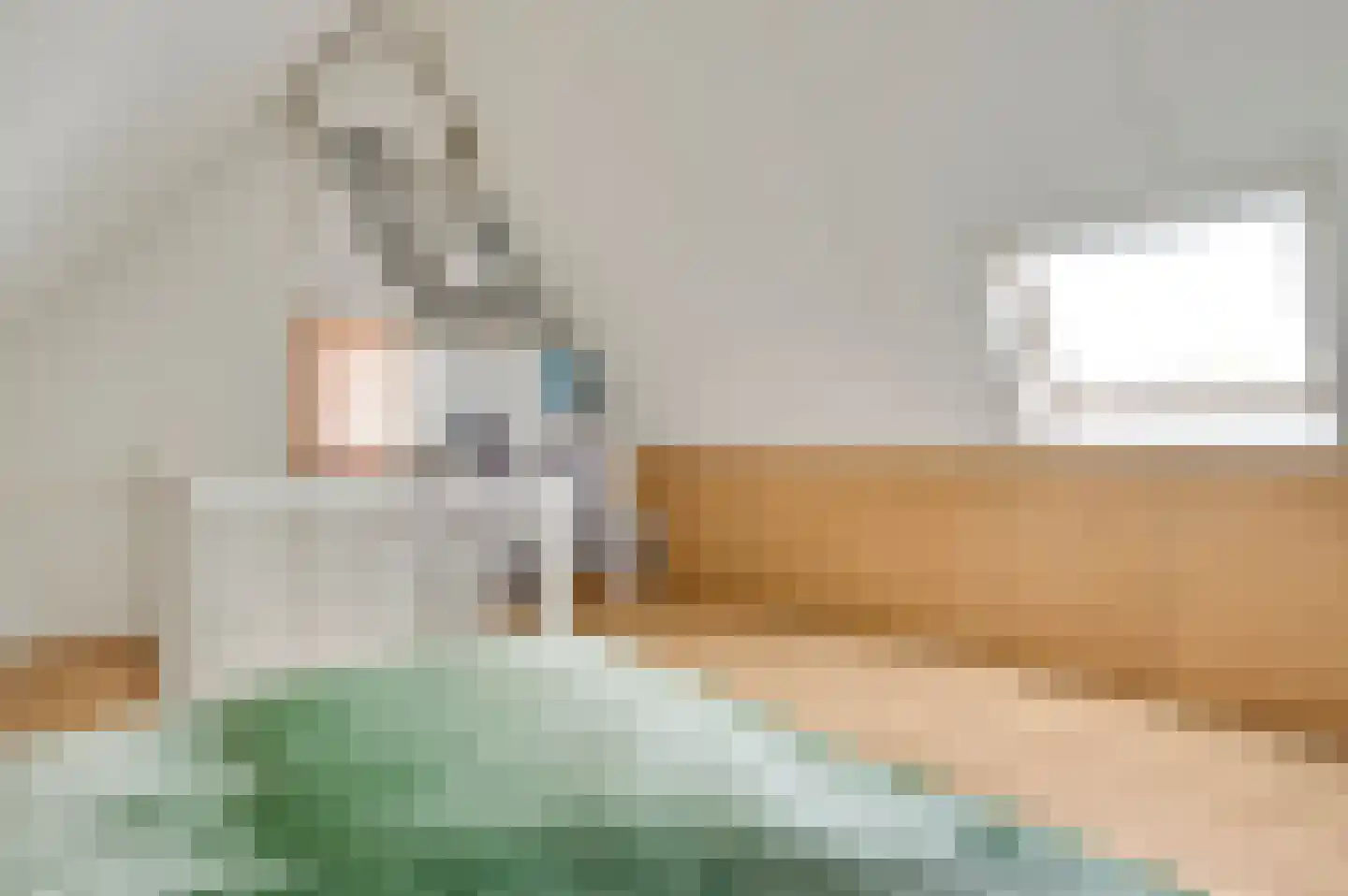 Walestraat 29 Stramproy thumbnail 40