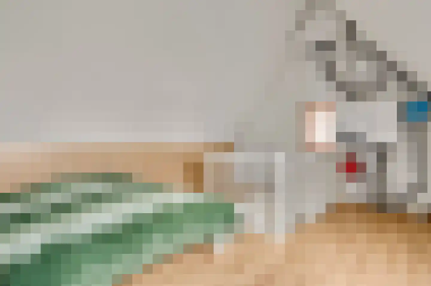 Walestraat 29 Stramproy thumbnail 41