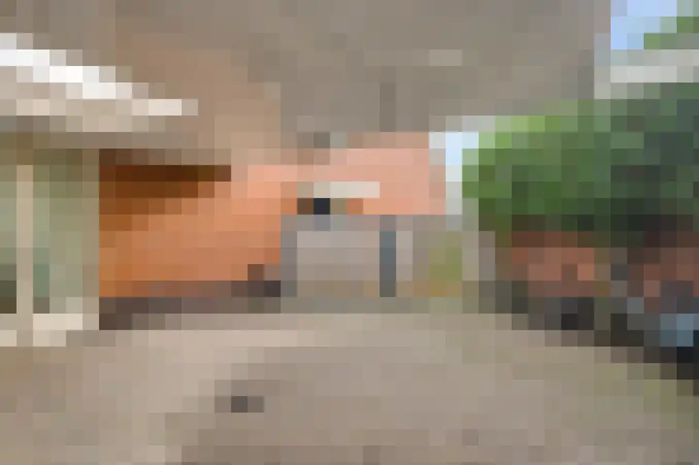 Walestraat 29 Stramproy thumbnail 5
