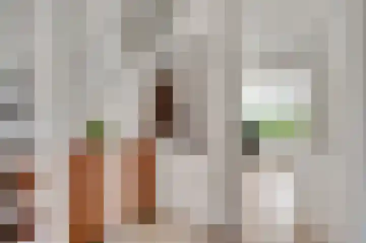 Walestraat 35 Stramproy thumbnail 11