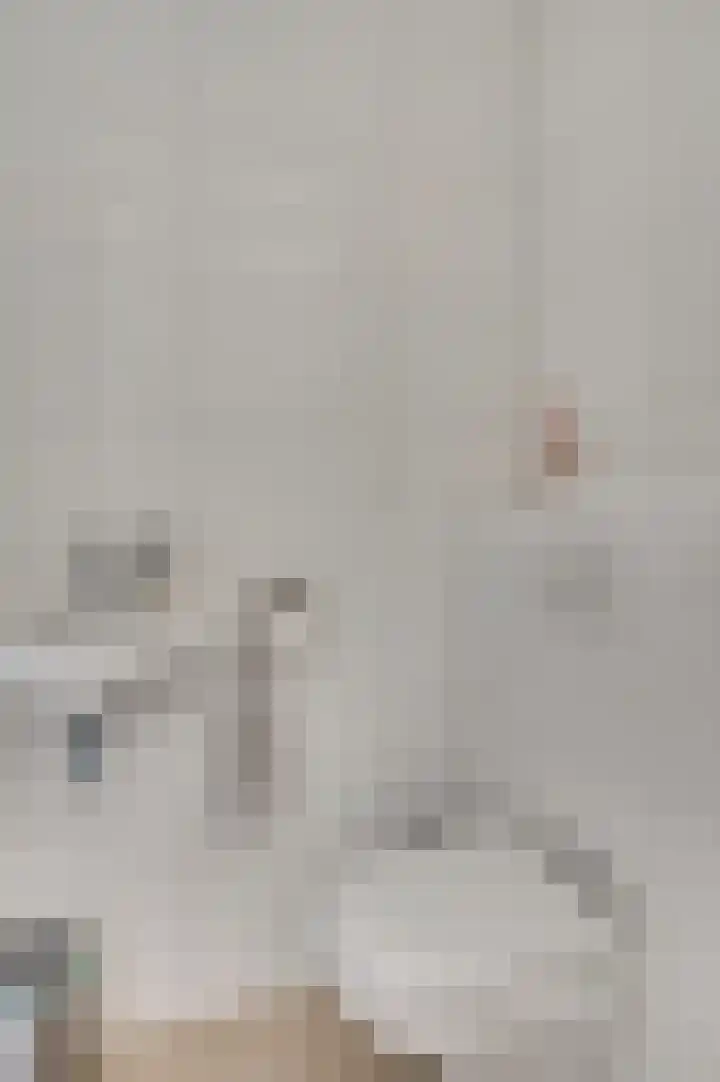Walestraat 35 Stramproy thumbnail 12