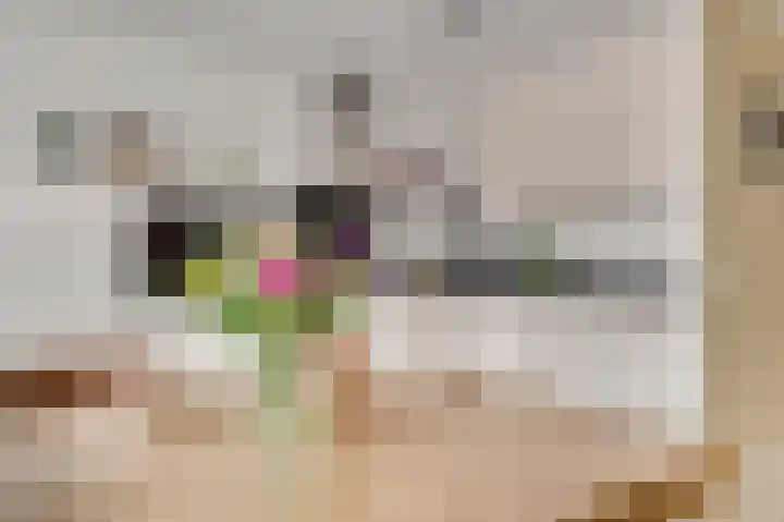 Walestraat 35 Stramproy thumbnail 18