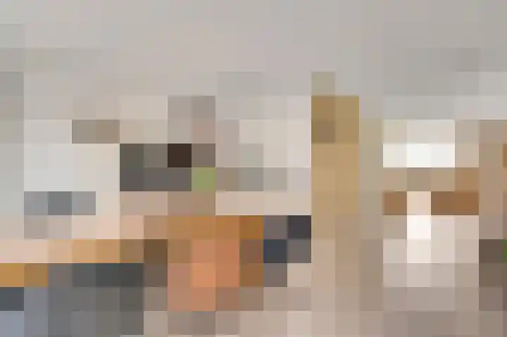 Walestraat 35 Stramproy thumbnail 19