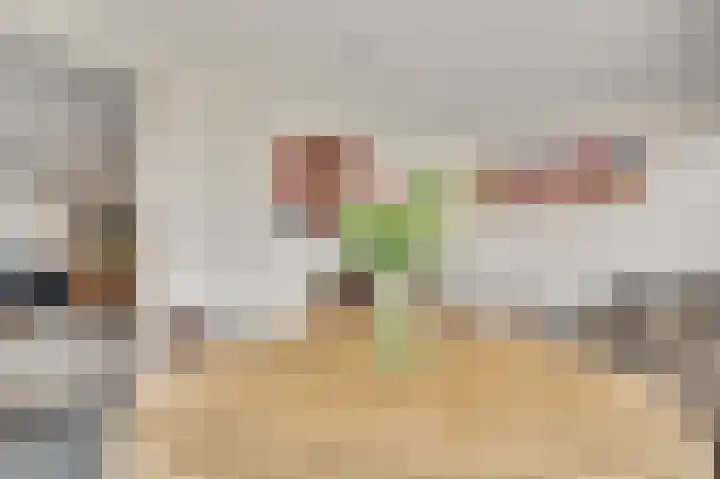 Walestraat 35 Stramproy thumbnail 22