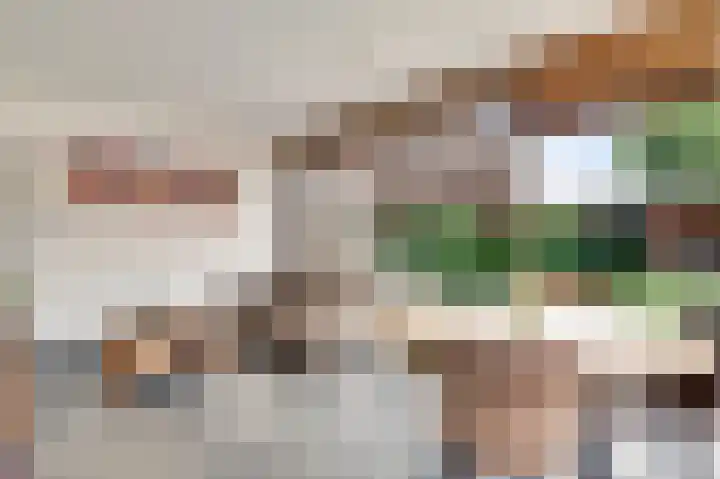Walestraat 35 Stramproy thumbnail 23