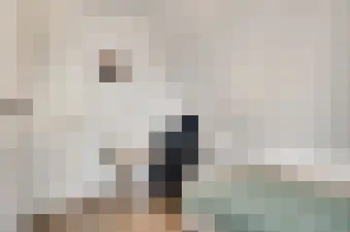 Walestraat 35 Stramproy thumbnail 29